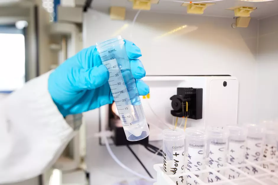 A person grabbing test tubes in a lab